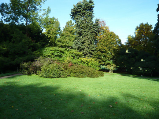 1244849 (a): :2560x1920